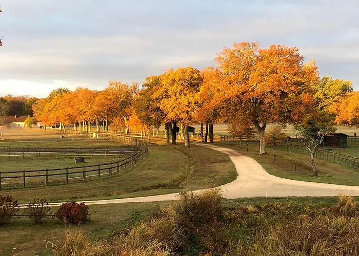 haras du Vignault Le Bûcher Salbris