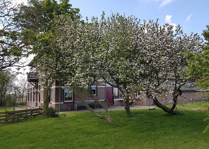 Hunsingo Texel Hotel De Cocksdorp 