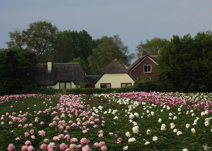 Brinkesdiek Hardenberg