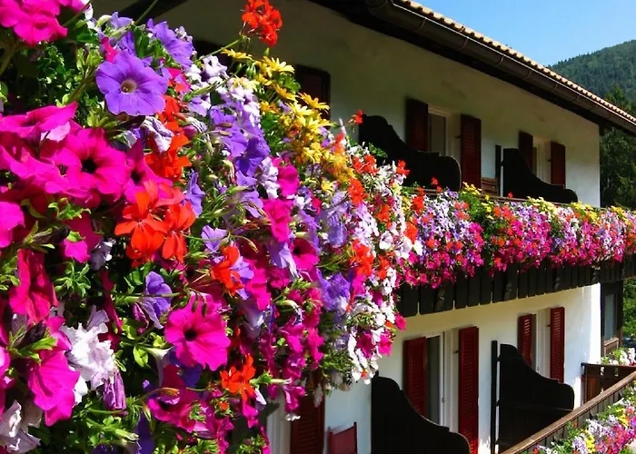 Hotel Pausa Montagna 