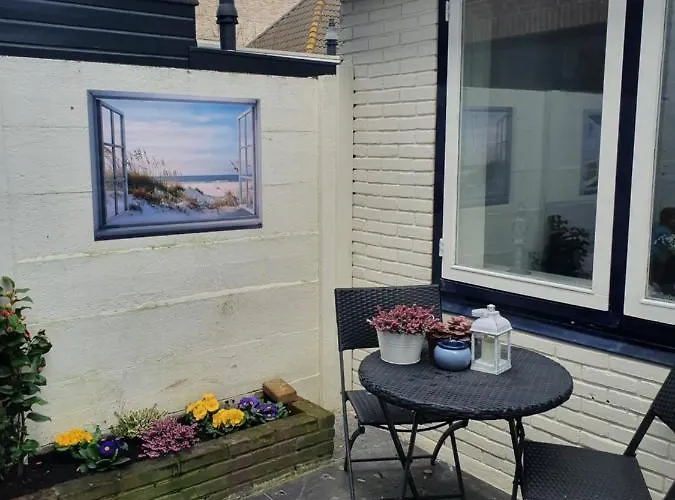 Studio Adanni Zandvoort