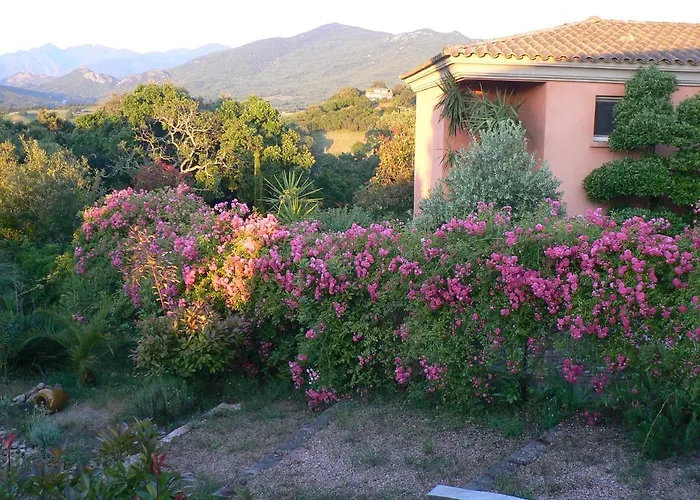Chambre D'Hote Casa Tozza Porticcio 