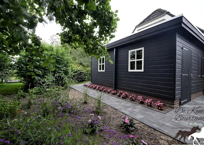 B&B De Konik Bourtange