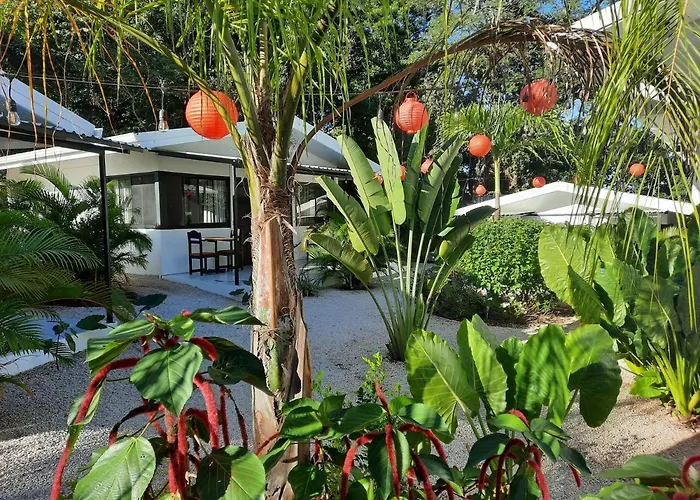 The Pura Vida Inn Playa Grande