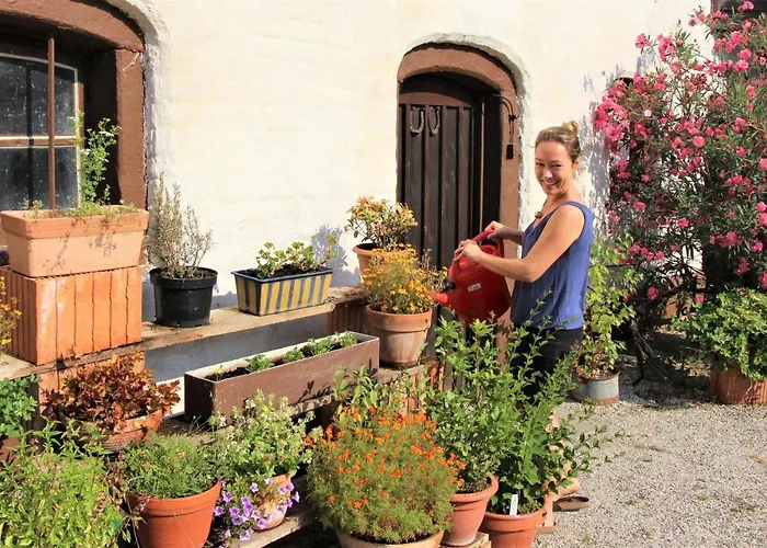 Zur Mühle