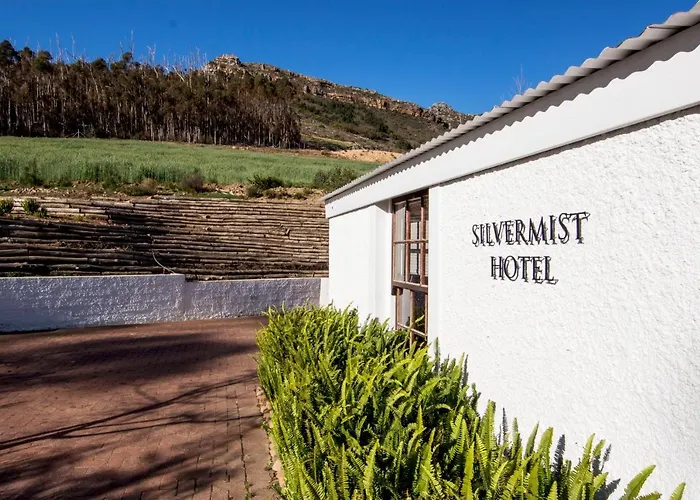 Silvermist Organic Wine Estate Kaapstad