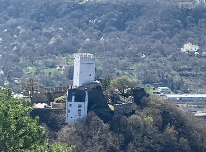 Idyllisches Zimmer in ruhiger Lage Boppard am Rhein