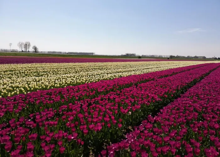 Het Zeeuws Verblijf Terneuzen