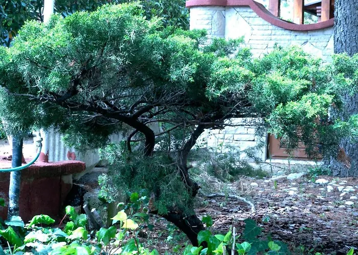 Vila Albatros Bed and Breakfast Rovinj
