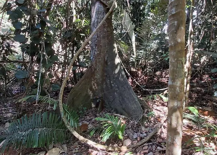 Recanto Dos Ingas Cachoeiro de Itapemirim
