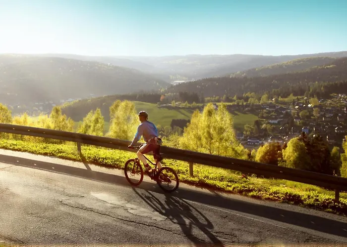 Ferienhotel Mühlleithen Klingenthal