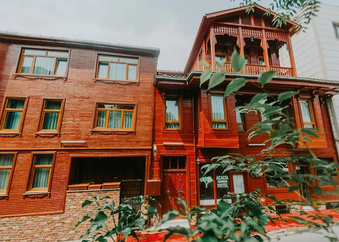 Acacia Mansion Hotel Provincia di Provincia di Istanbul