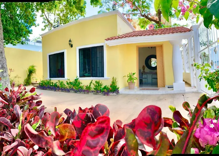 La Casa De Los Alcatraces Cancún