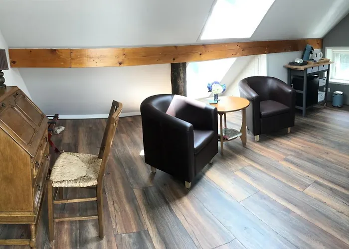 Bed & Breakfast Ter Borg Sellingen
