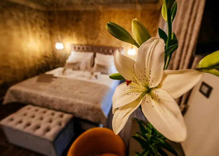 Luxury Rooms Vindemiae Zadar