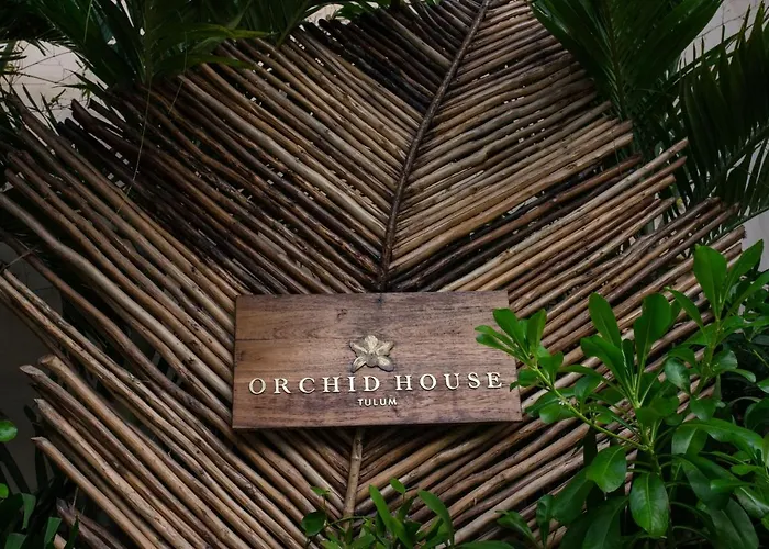 Orchid House Tulum Jungle Hotel