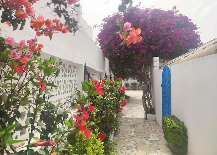 Suite A Sidi Bou Ali