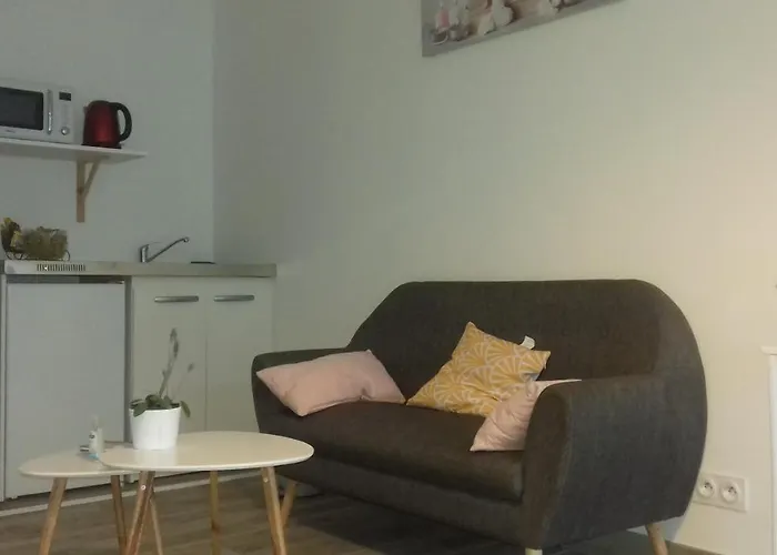 Studio dans quartier calme près de tout La Roche-sur-Yon