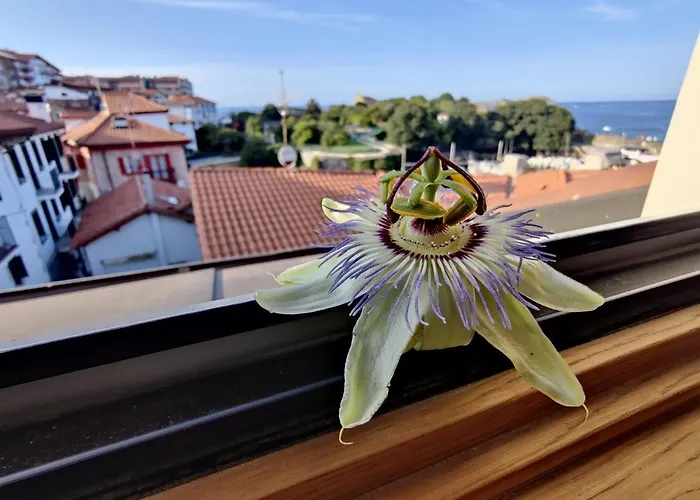 Hoteles en Mundaka