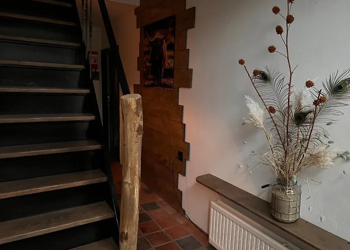 Bed&Breakfast Jonker Burgh-Haamstede