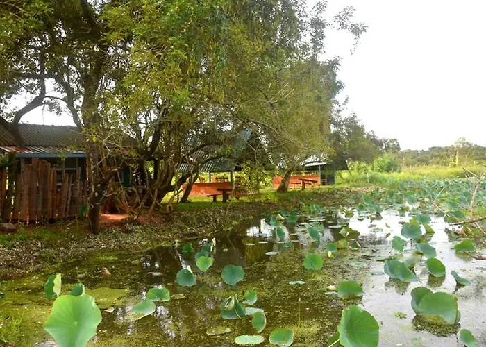 Meegahapokuna Resort