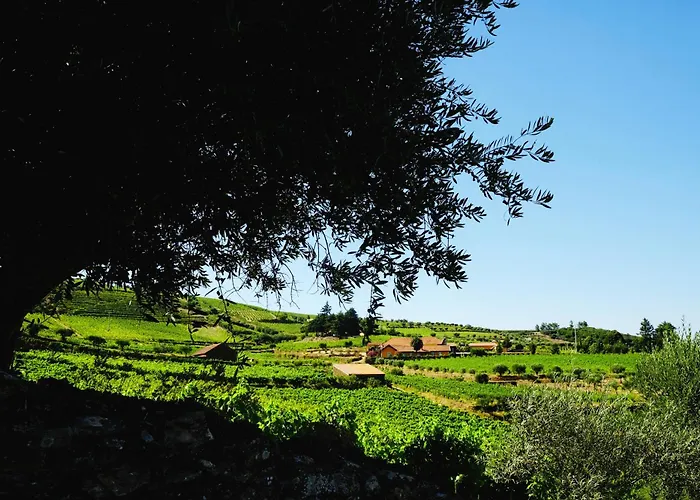Quinta Do Monte Travesso - Country Houses & Winery
