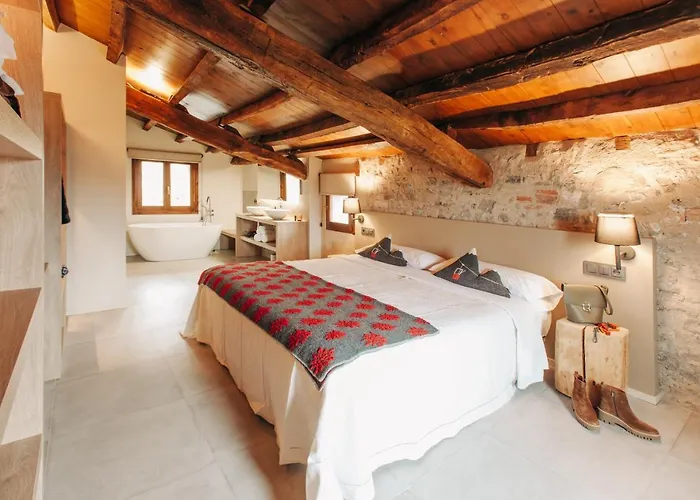 Hotel Boutique El Mariner Camprodon