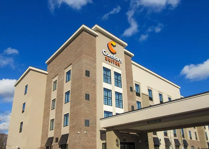Comfort Suites Summerville