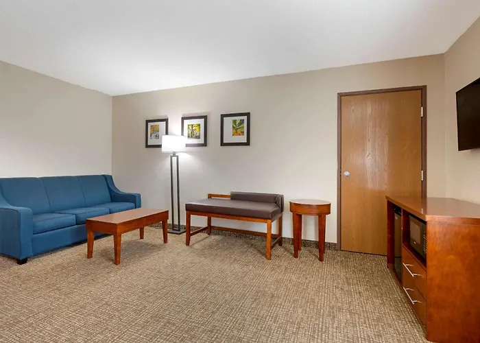 Comfort Inn Anderson South