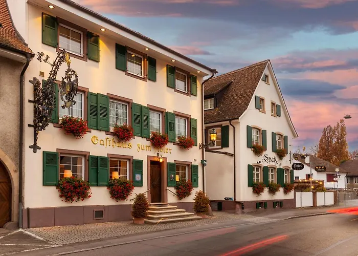 Hotel Adler - Weil Am Rhein