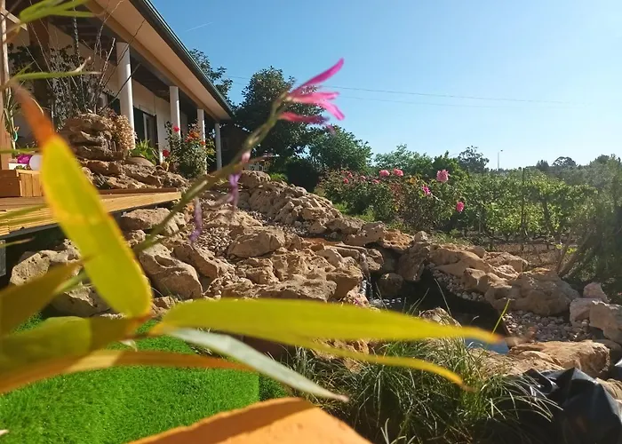 Casita Da Floresta