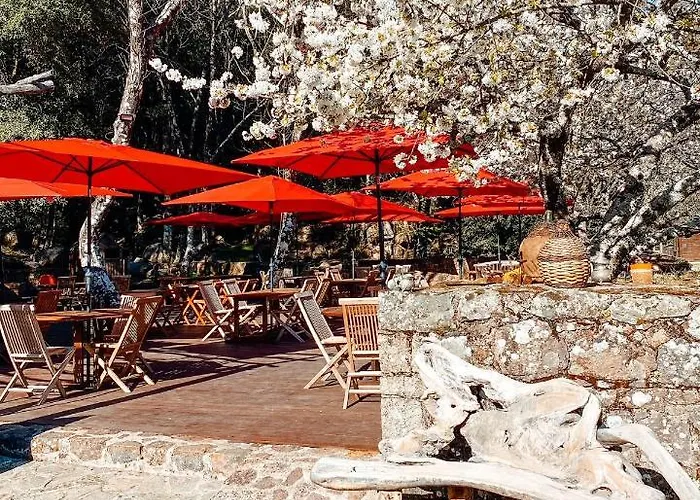 Auberge De La Foret Bonifatu Calenzana