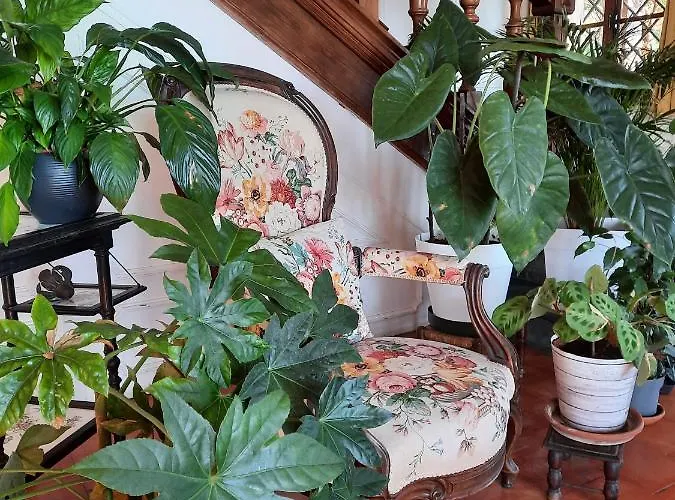 Hotel a Roccabruna