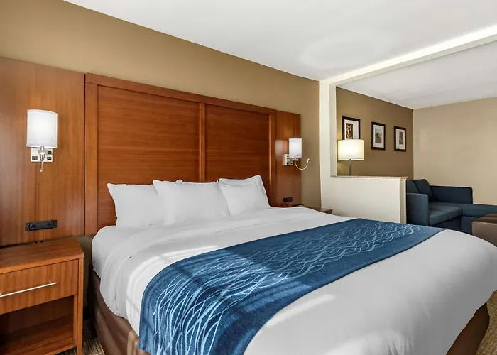 Comfort Inn & Suites Texas Hill Country Boerne