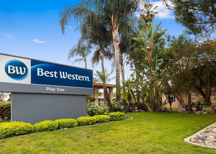 Best Western Pine Tree Motel Chino
