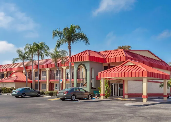 Super 8 By Wyndham Clearwater/Us Hwy 19 N