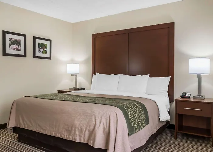 Comfort Inn - Pocono Mountains White Haven