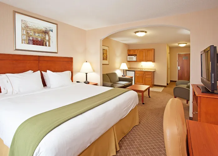 Holiday Inn Express Hotel & Suites Bay City By Ihg