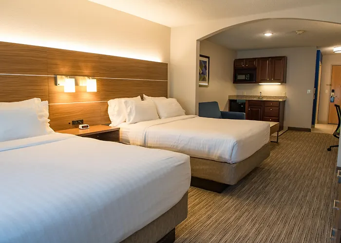 Holiday Inn Express Hotel & Suites Elkhart-South By Ihg
