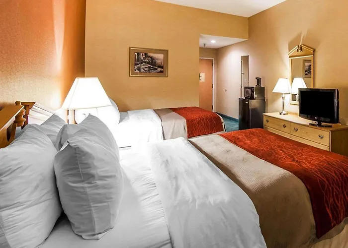 Econo Lodge Newport Smoky Mountains Gateway