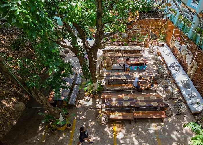 Hotel Selina Playa Del Carmen