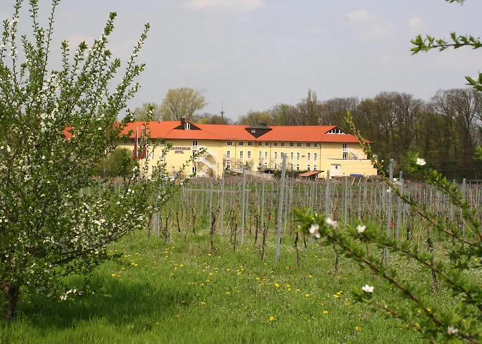 Hotel Maxx By Steigenberger Deidesheim