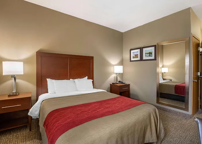 Comfort Inn Walcott Near Davenport