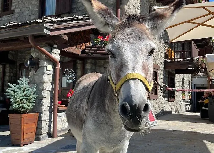 Hotel La Grange Courmayeur