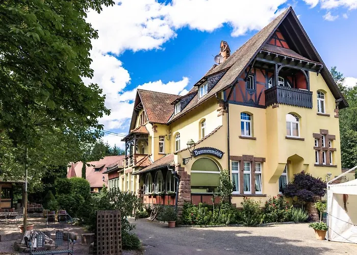 Hotel Dammenmuehle Lahr 