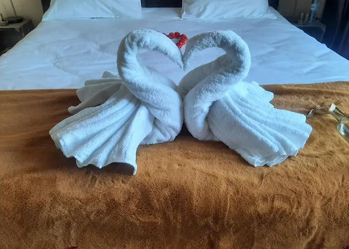 Bed And Breakfast Hans En Gridje Breda
