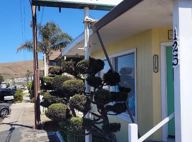 Cypress Tree Motel