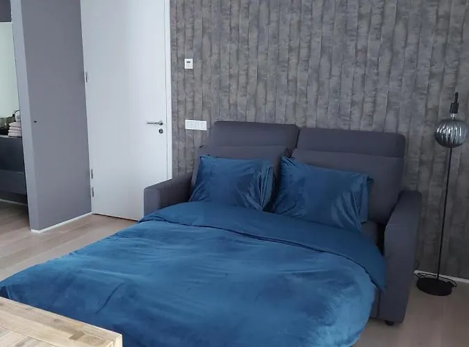 Bed&Wellness Boxtel, luxe kamer met airco en eigen badkamer
