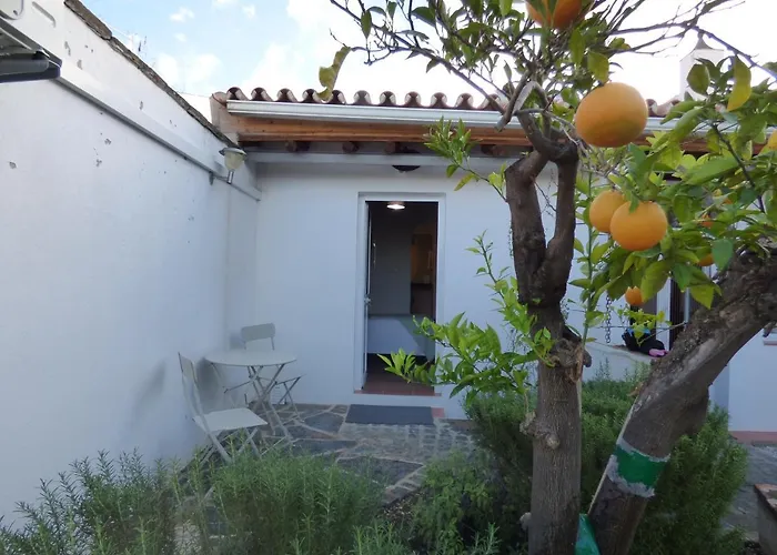 Solar Da Cumeada Acomodação com café da manhã Reguengos de Monsaraz