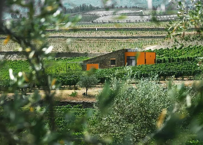 Quinta Do Monte Travesso - Country Houses & Winery Tabuaço